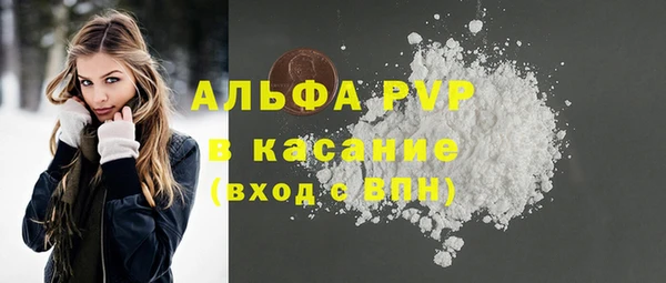 шишки Дмитровск