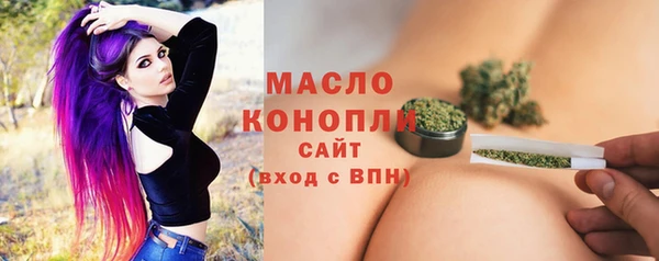 шишки Дмитровск