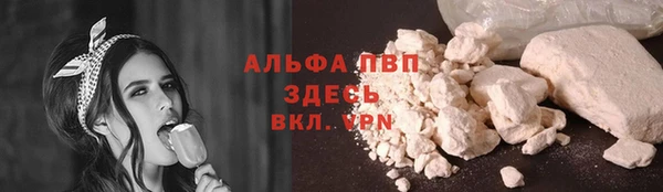 шишки Дмитровск