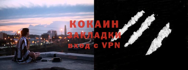 шишки Дмитровск