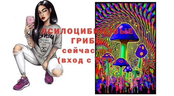 мескалин Дмитриев