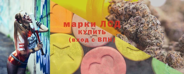 шишки Дмитровск