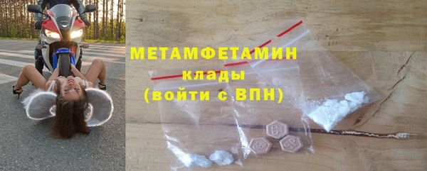 шишки Дмитровск
