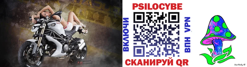 Купить закладки  Уржум  Псилоцибиновые грибы Cubensis 