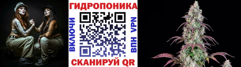 Бошки Шишки гибрид  Купить  Уржум 